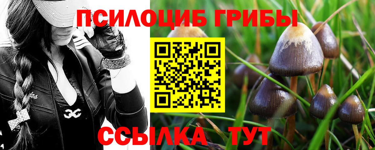 Мценск  Псилоцибиновые грибы мухоморы  Вход с VPN 