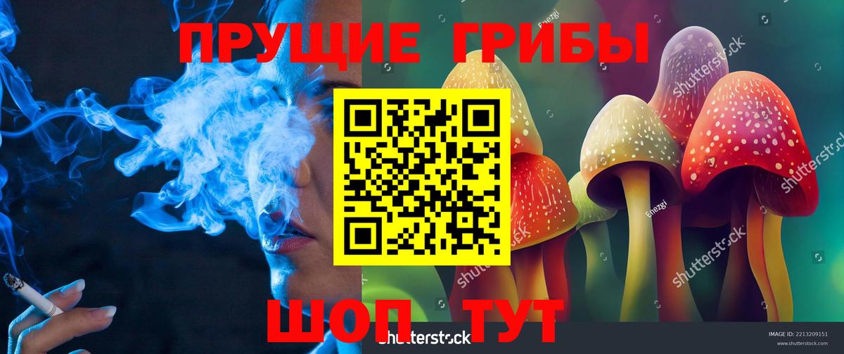 Галлюциногенные грибы Psilocybine cubensis Мценск